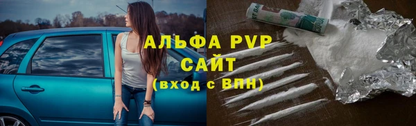 apvp Ельня