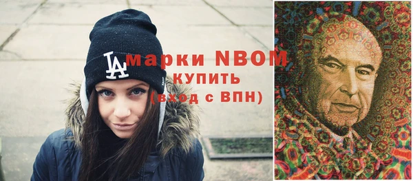 apvp Ельня
