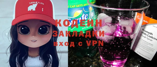 apvp Ельня