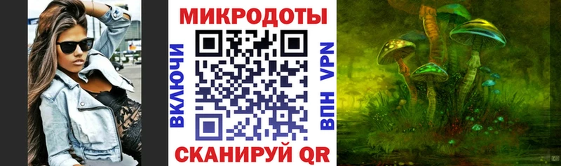 блэк спрут как войти  как найти закладки  Приозерск  Псилоцибиновые грибы мухоморы 